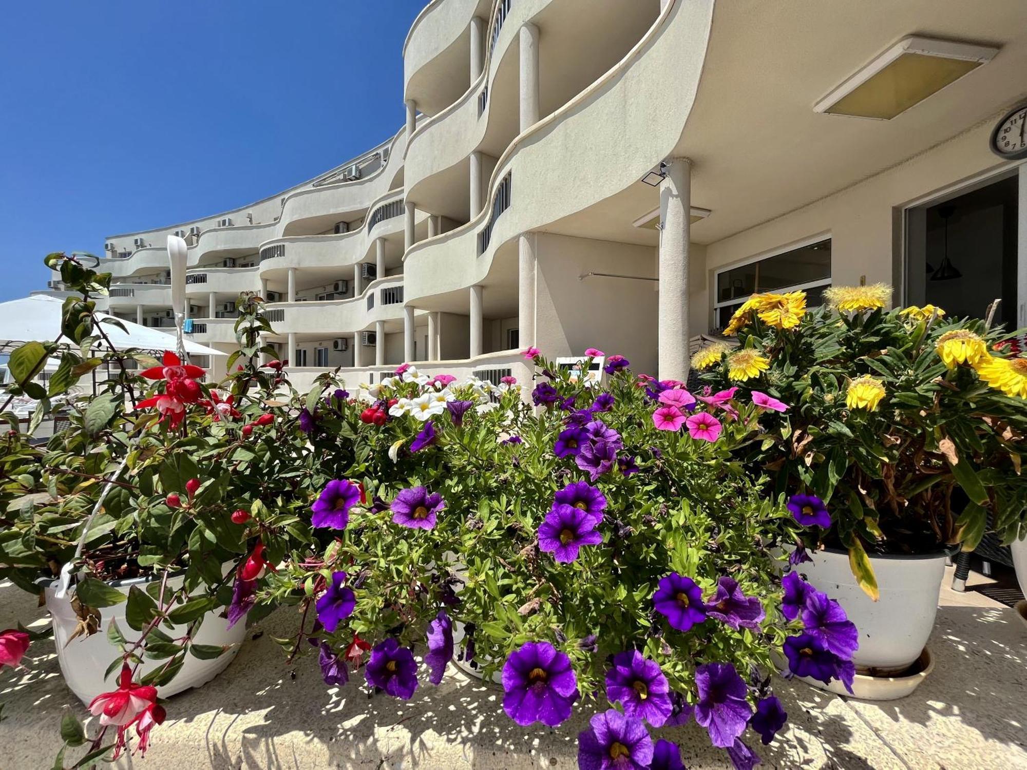 Апартаменти Сънбрийз - Sunbreeze Apartments Bjala Kültér fotó
